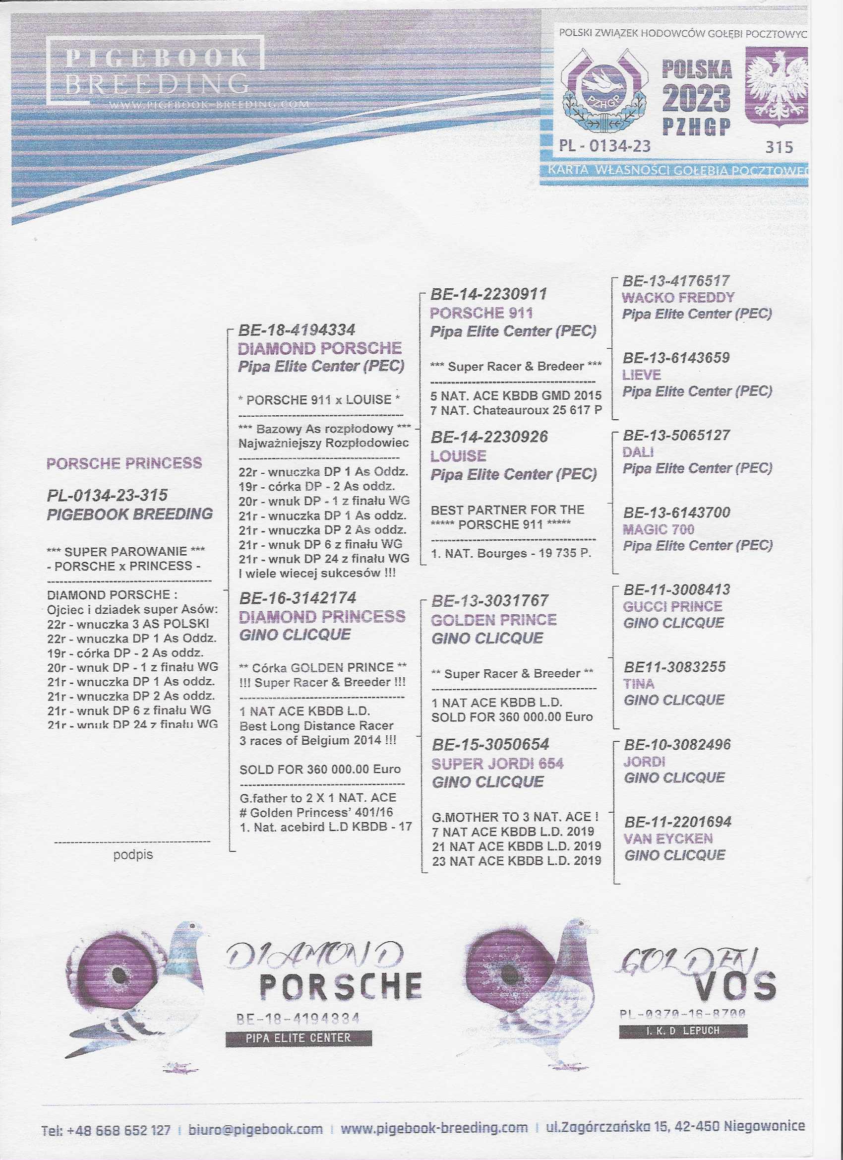 Diamond Porsche Harry, zdjęcie 4