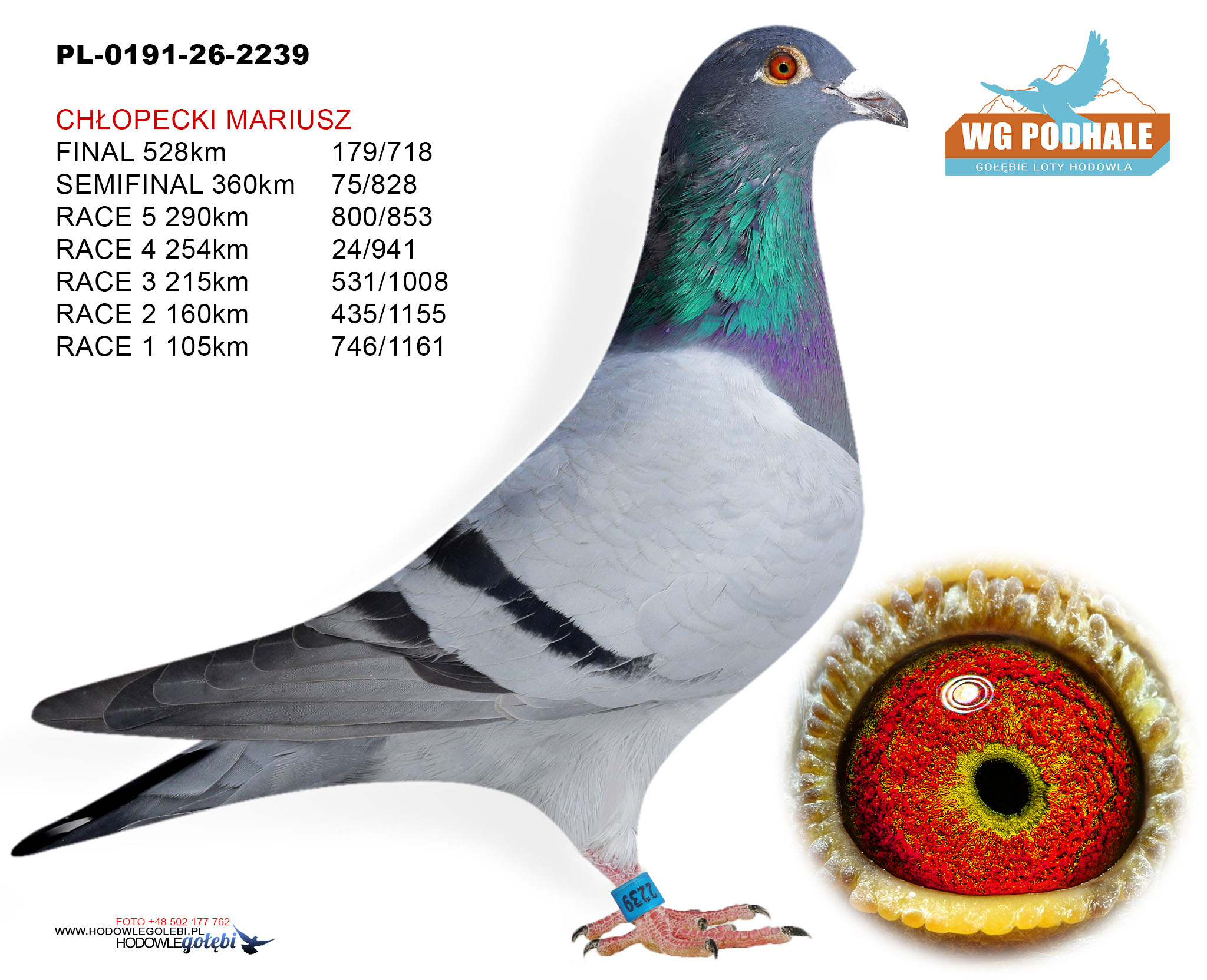 PL-0191-26-2239, zdjęcie 1