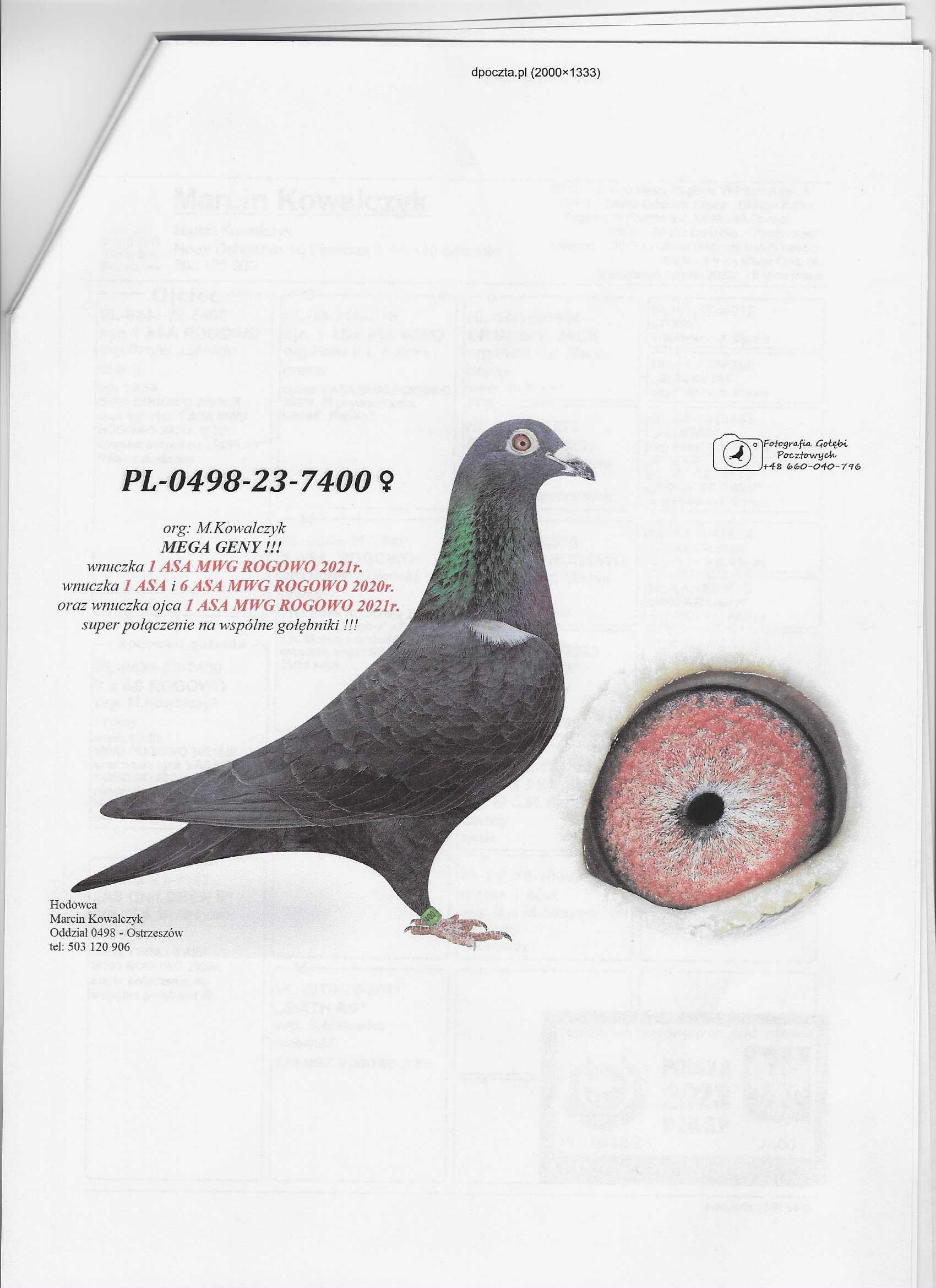 PL-098-26-11864, zdjęcie 5