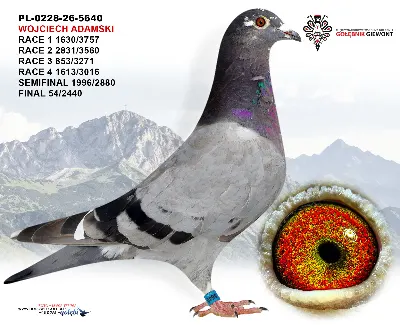 PL-0228-26-5640