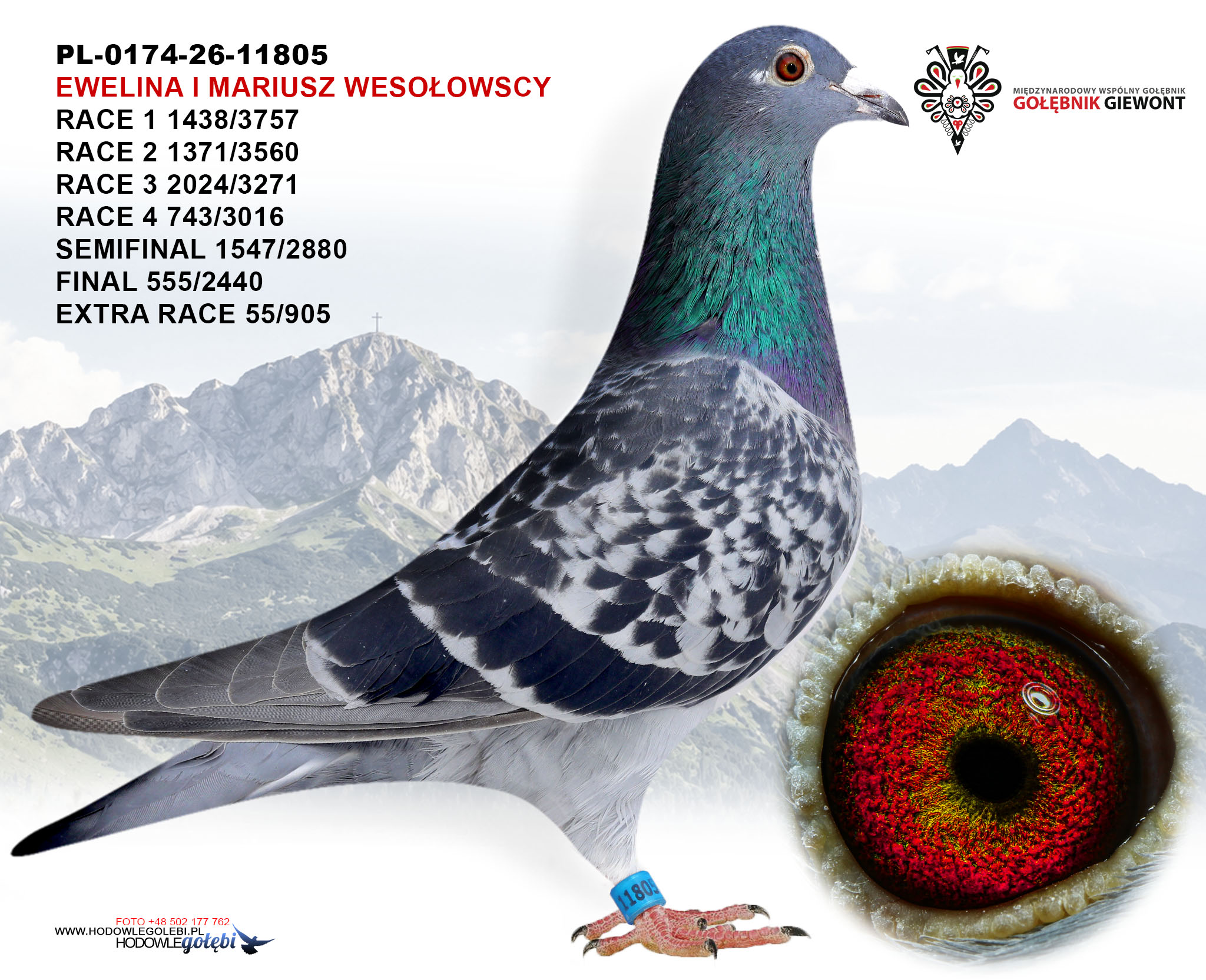 Wnuczka Olimpijczyka, zdjęcie 1