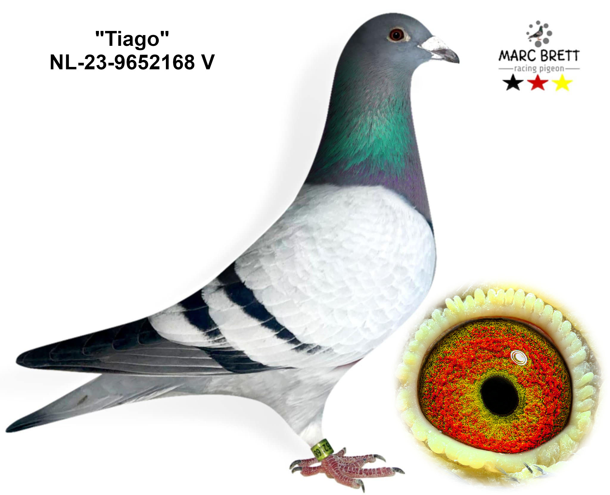 DV-02593-26-1753, zdjęcie 3