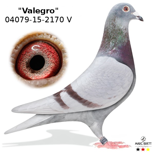 DV-02593-26-1751, zdjęcie 3
