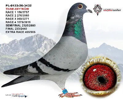 PL-0122-26-3432