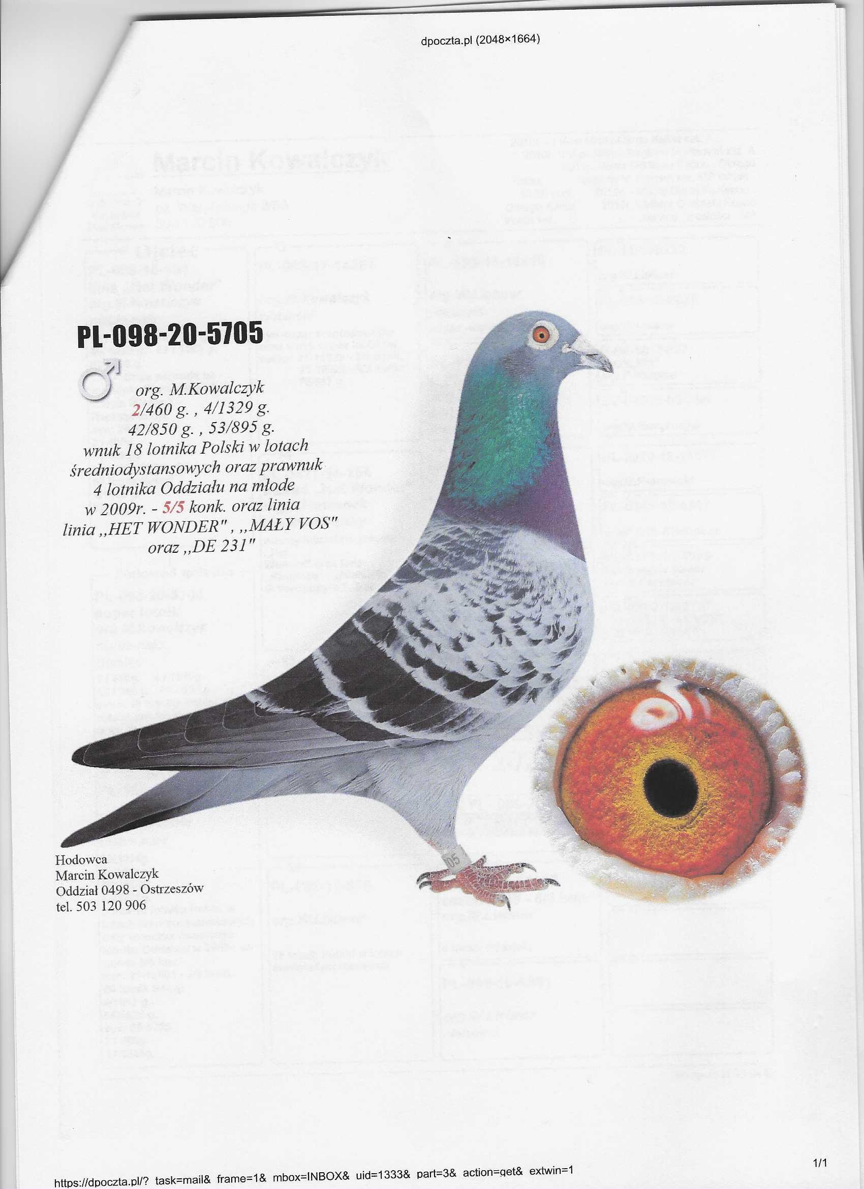 PL-098-26-11864, zdjęcie 3