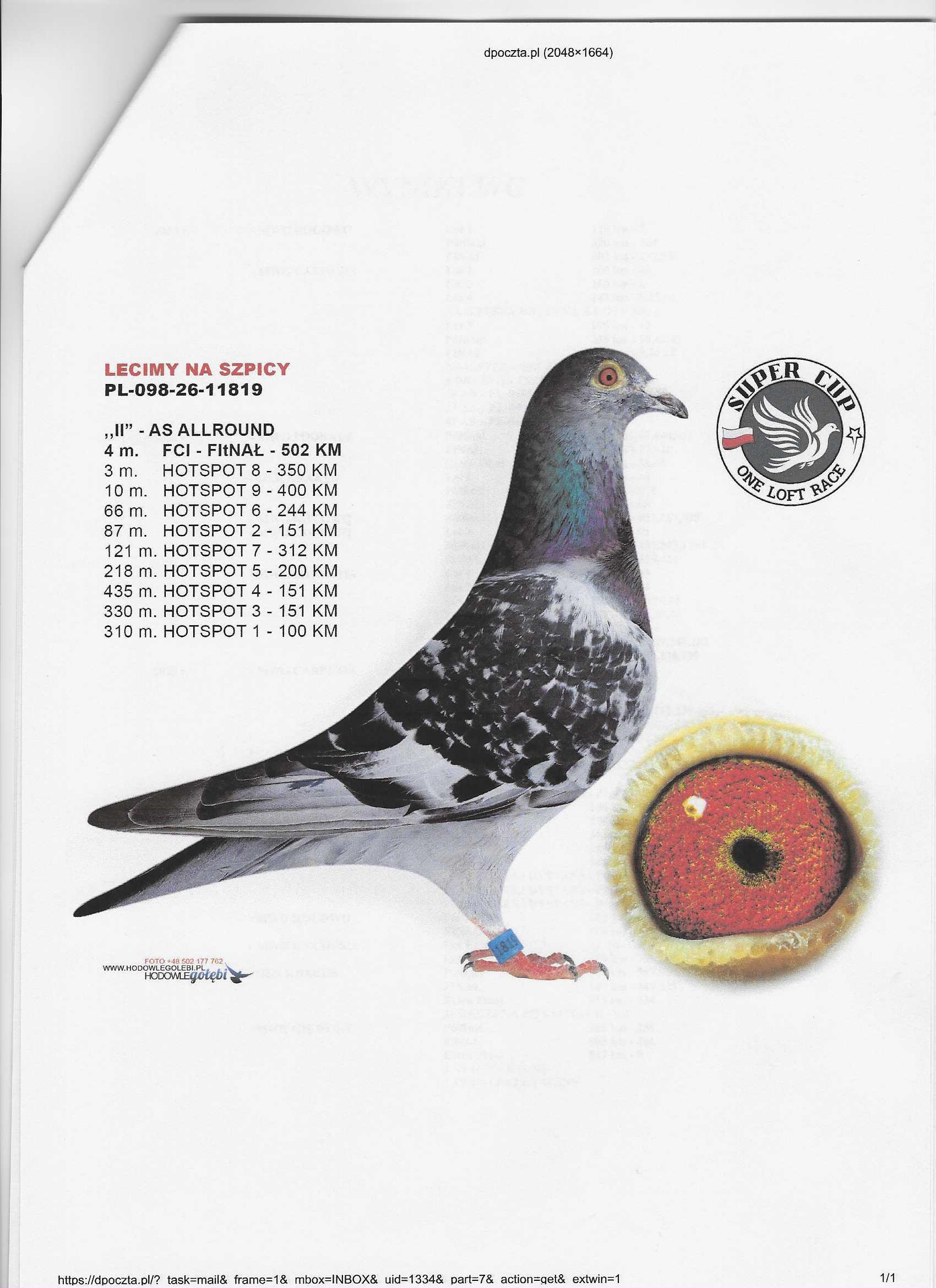 PL-098-26-11820, zdjęcie 7