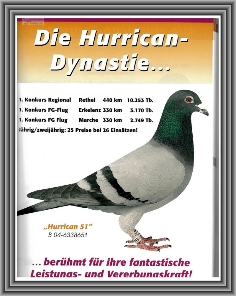 DV-02593-26-1746, zdjęcie 7