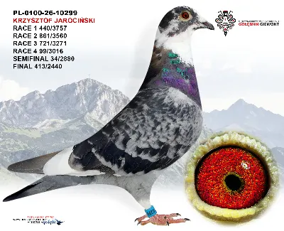 PL-0100-26-10299