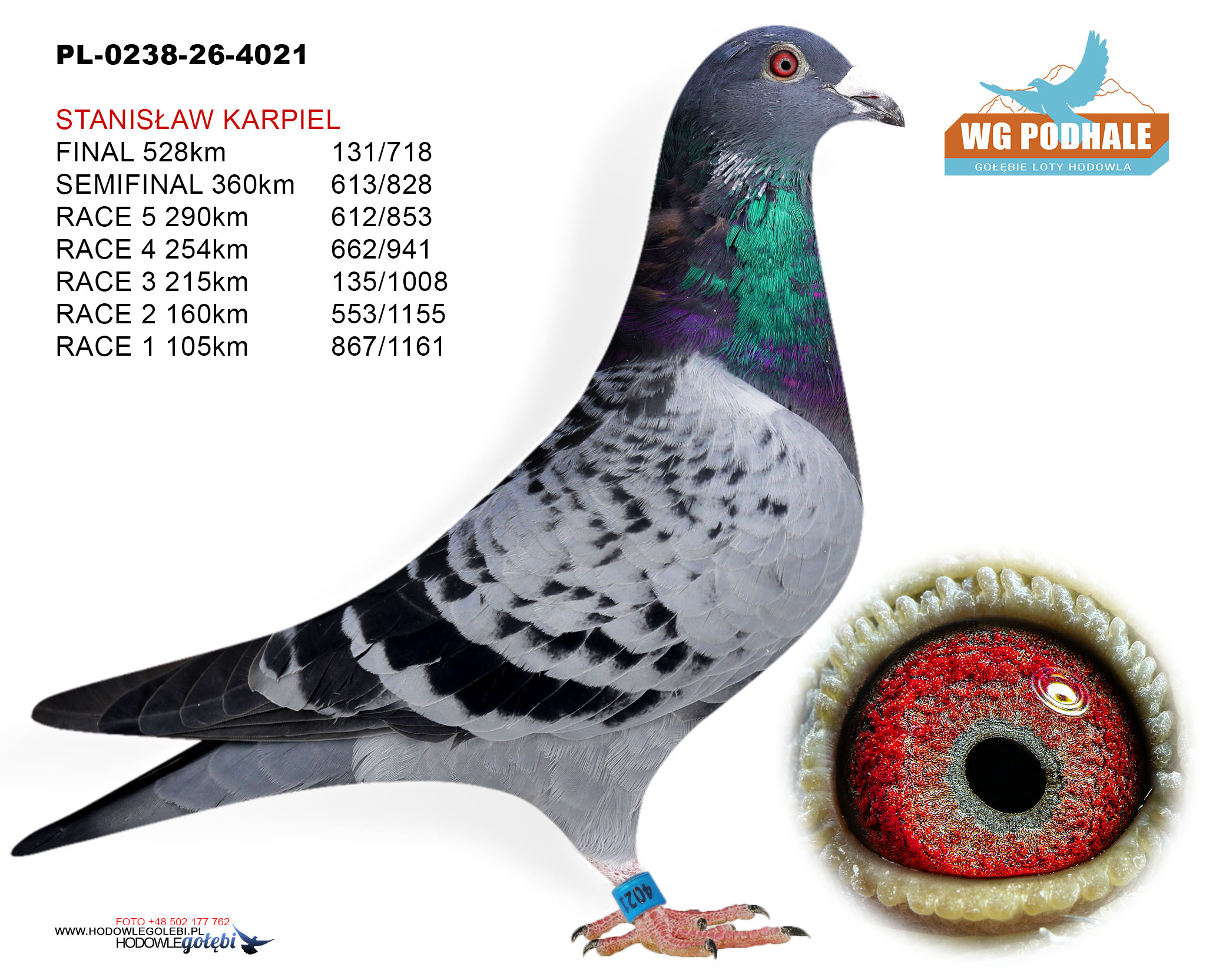 PL-0238-26-4021, zdjęcie 1