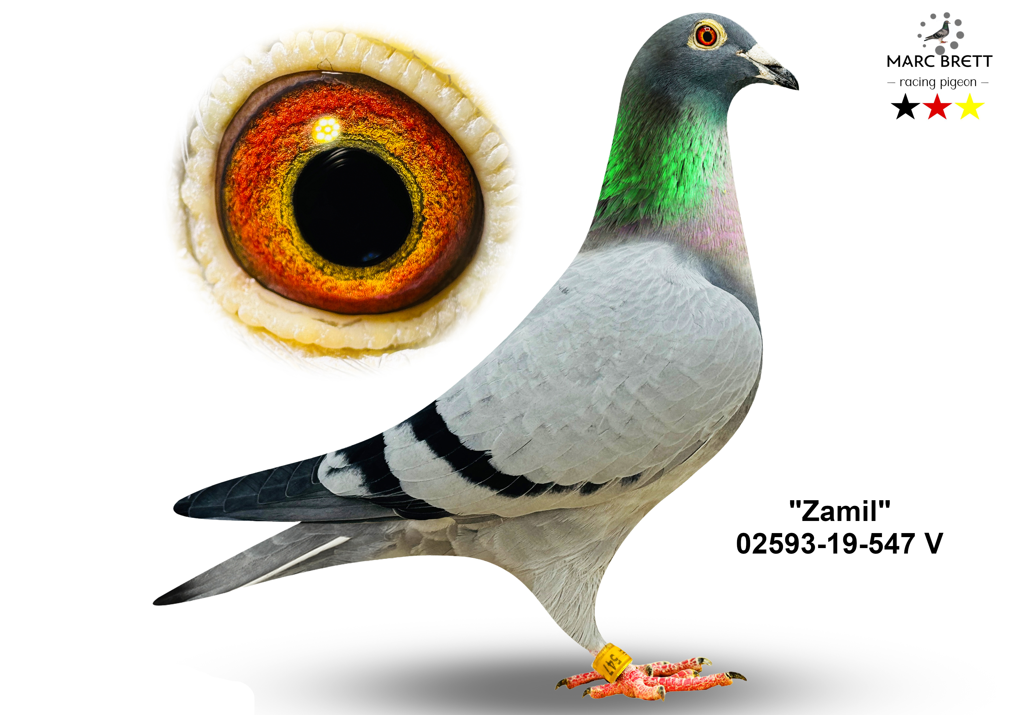 DV-02593-26-1746, zdjęcie 3