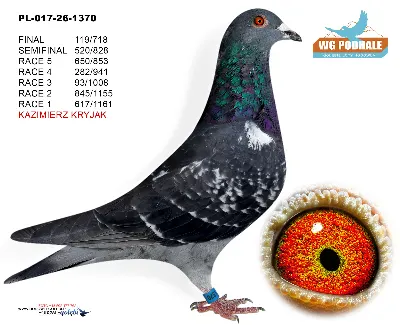 PL-017-26-1370
