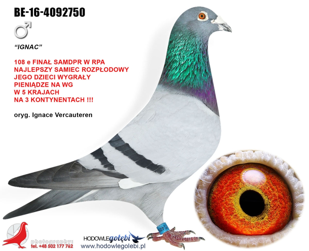 PL-0205-26-5480, zdjęcie 4