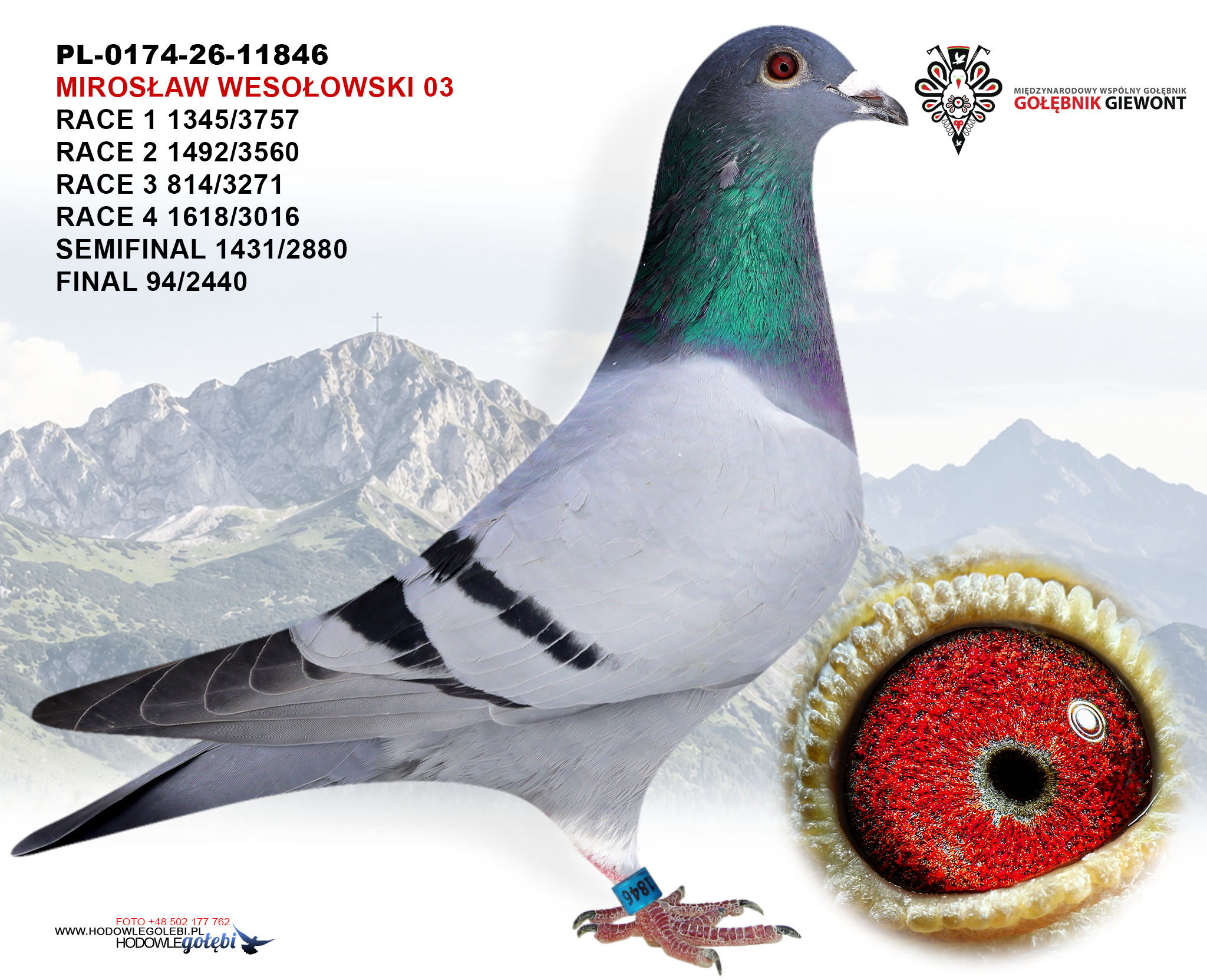 Błękitny As Wesołowskich, zdjęcie 1