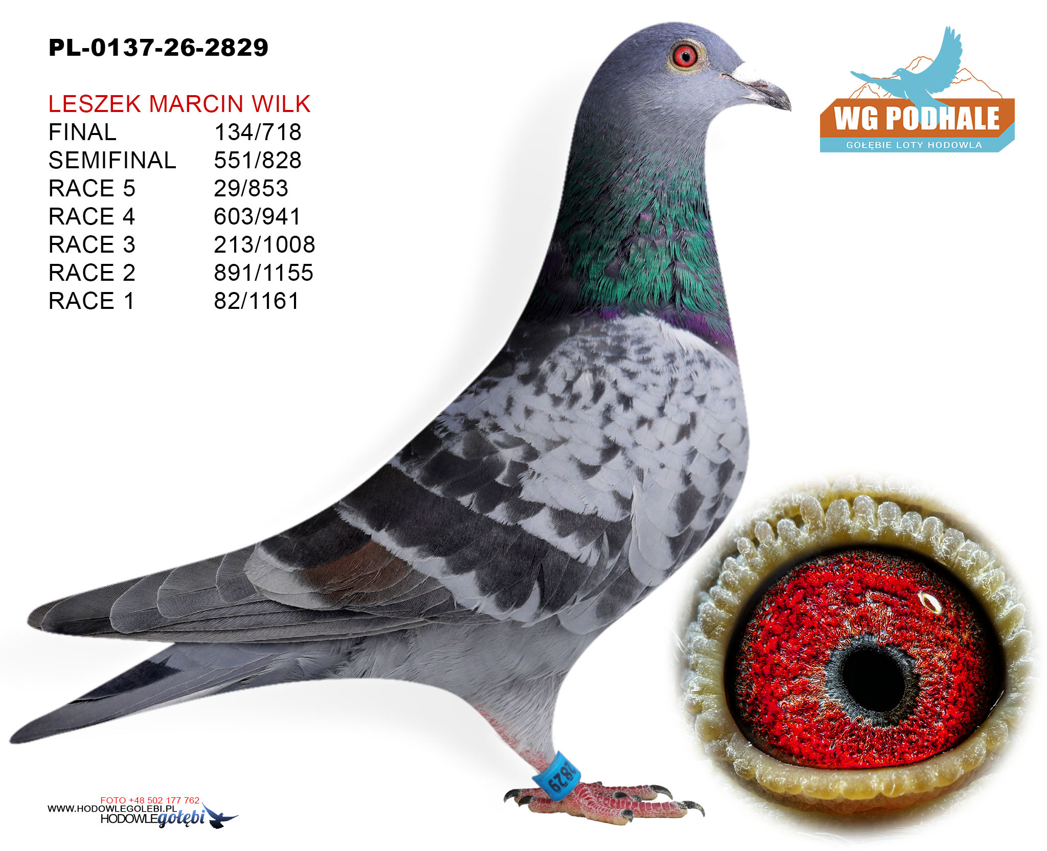 PL-0137-26-2829, zdjęcie 1