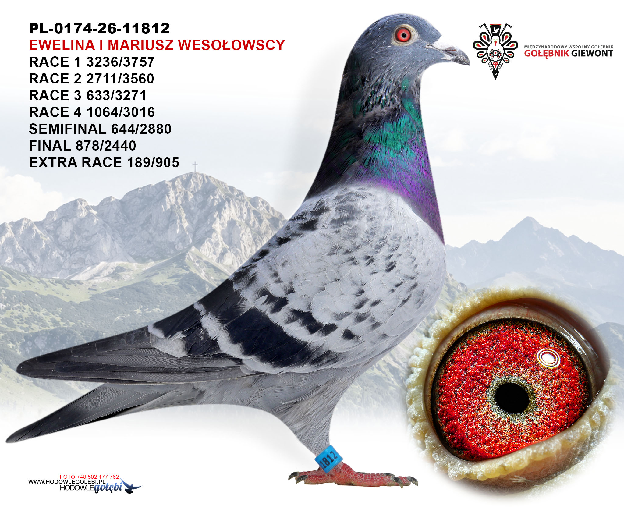 Super Giewont Ace, zdjęcie 1