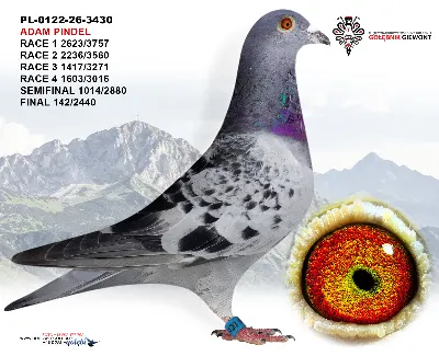 PL-0122-26-3430